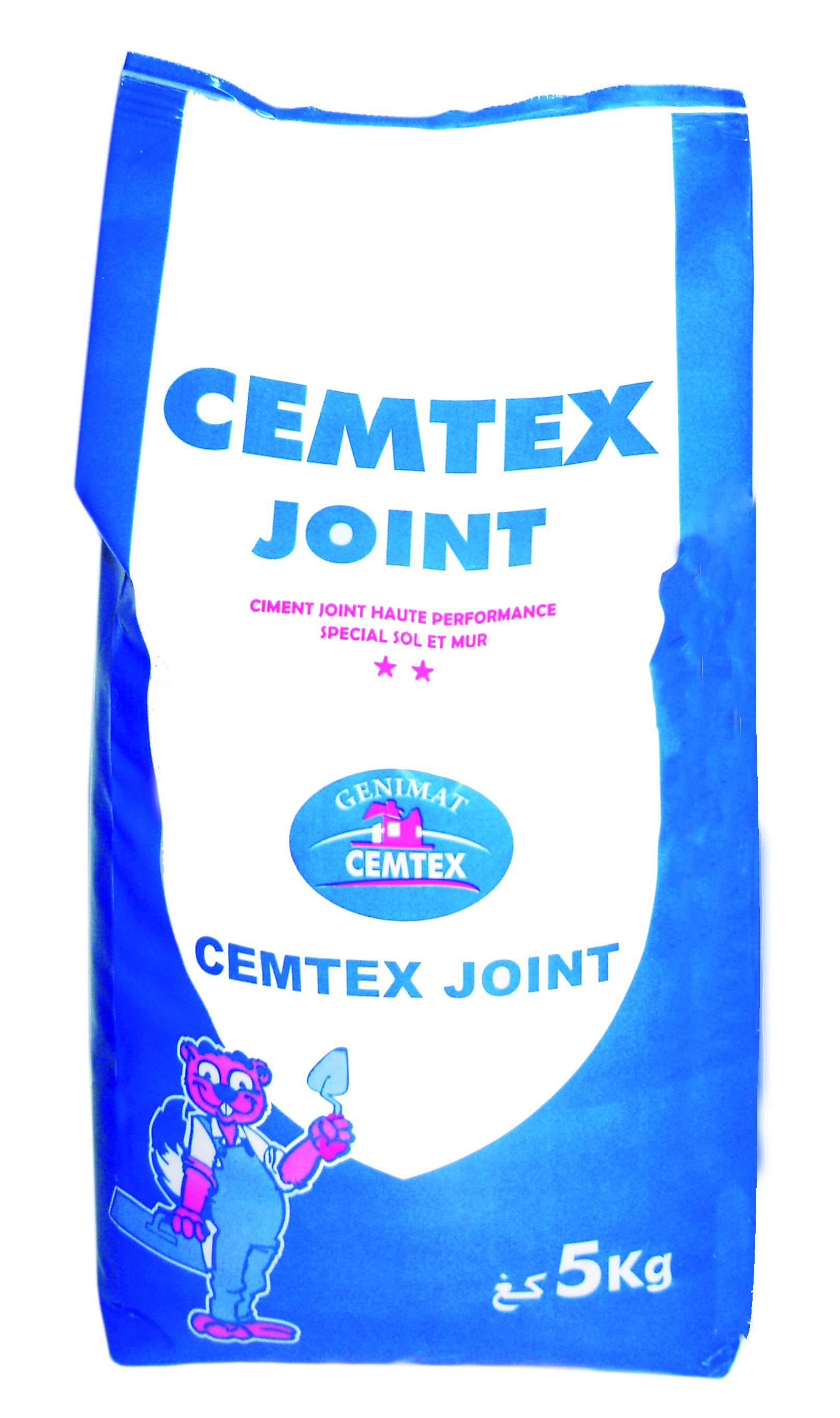 MORTIER JOINT (CEMTEX)