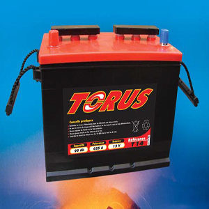 Vente de batterie TORUS