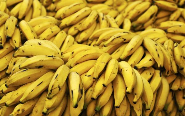  fournisseurs de banane , de fruits et de lgumes