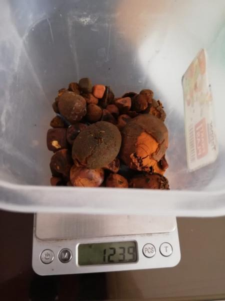Buy Cow /Ox Gallstone Available On Stock Now @ (WhatsApp: +237673528224)
