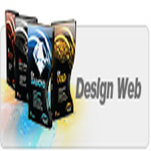 IntelliX Web Agency