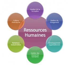 formation Administration et Gestion des Ressources humaines