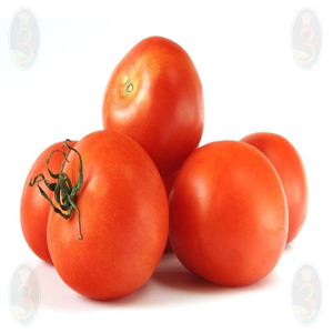 Tomate BOBCAT