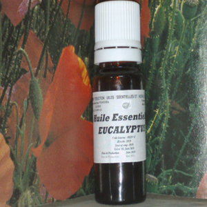 Huile essentielle eucalyptus radie