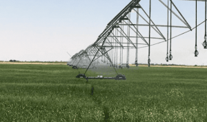 Des pivots d'irrigation aliments 