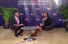 Africa CEO Forum 2015