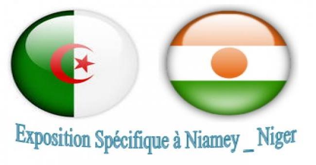 Exposition sp&eacutecifique à Niamey_Niger